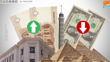 استمرار تراجع سعر الدولار أمام الجنيه المصري