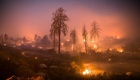 اشتعال حرائق غابات كاليفورنيا.. وإجلاء 50 ألف شخص