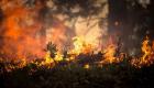 مصرع 3 بحرائق غابات في المكسيك