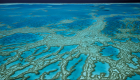 أستراليا تحمي الحيد المرجاني العظيم بـ96.5 مليون دولار