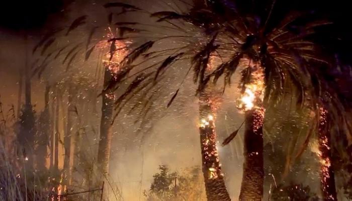 الحرائق تواصل التهام غابات كاليفورنيا