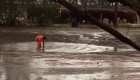 أمطار في أستراليا تغيث مربي الماشية بعد سنوات الجفاف