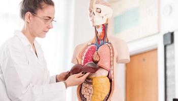  اتباع التغذية الصحية يقاوم ارتفاع إنزيمات الكبد