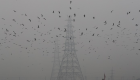 الرياح تخفف آلام التلوث في نيودلهي
