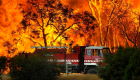 اشتعال حرائق الغابات في أستراليا.. وإخلاء بلدات