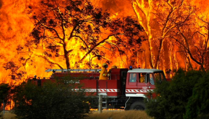 حرائق غابات في أستراليا - أرشيفية