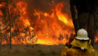 70 حريقا في غابات أستراليا