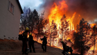 حرائق الغابات تجتاح منطقة هوليوود هيلز بكاليفورنيا