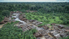 موسم الأمطار يقلل إزالة الأشجار في الأمازون البرازيلية