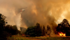 النيران تأكل 1.1 مليون هكتار من غابات أستراليا