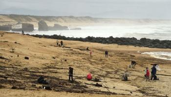 الشرطة ضبطت الشاب وبحوزته الكوكايين على شاطئ "لاكانو" - أرشيفية