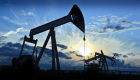 النفط يتراجع بفعل ارتفاع مخزونات الخام وإنتاج قياسي لأمريكا