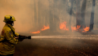 حرائق الغابات تستعر في أستراليا.. وجهود الإطفاء تتواصل