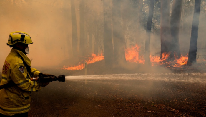 حرائق غابات أستراليا دمرت 300 منزل 