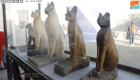 اكتشاف "خبيئة الحيوانات المقدسة" في مصر 