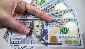 استقرار سعر الدولار 