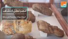 مصر تعلن اكتشاف "خبيئة حيوانات مقدسة" في سقارة