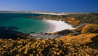 جزر فوكلاند تودع رعي الأغنام والسبب بريق السياحة