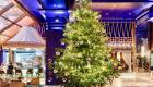 Noël : Le Sapin le plus cher du monde coûte 15 millions de dollars