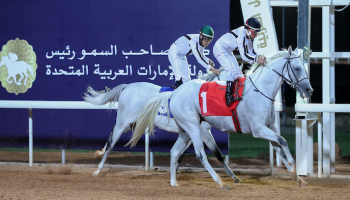من سباقات كأس رئيس الإمارات للخيول