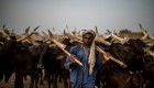 التغير المناخي يهدد حياة الرعاة في النيجر