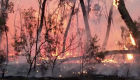 ارتفاع الحرارة وانتشار حرائق الغابات يطردان الأستراليين من منازلهم