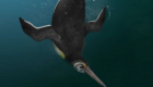 "كوبوبو" يحل لغز تطور البطريق.. كان يتجول على اليابسة