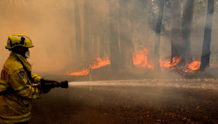 5 مليارات دولار خسائر إندونيسيا من حرائق الغابات