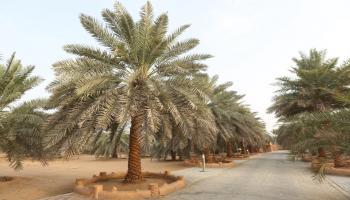 اليونسكو تدرج 