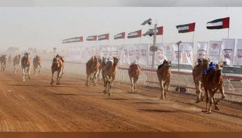 من سباقات الهجن