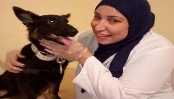 البيطرية المصرية سمر عبدالرحمن