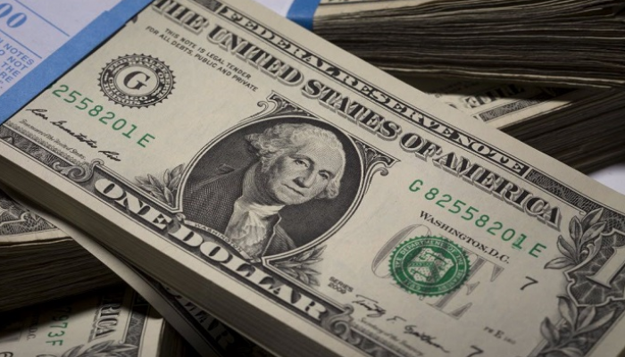 استقرار سعر الدولار في مصر