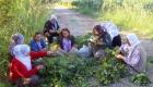 Bismil kayyumu kadınların bahçesine el koydu, 50 kadın işsiz bırakıldı