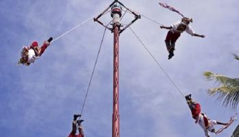 جانب من احتفالات 