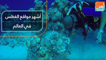 أشهر مواقع الغطس في العالم