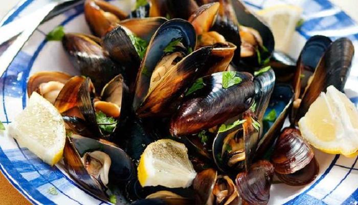 بلح البحر كائن بحري رخوي يعيش في المناطق الساحلية - أرشيفية