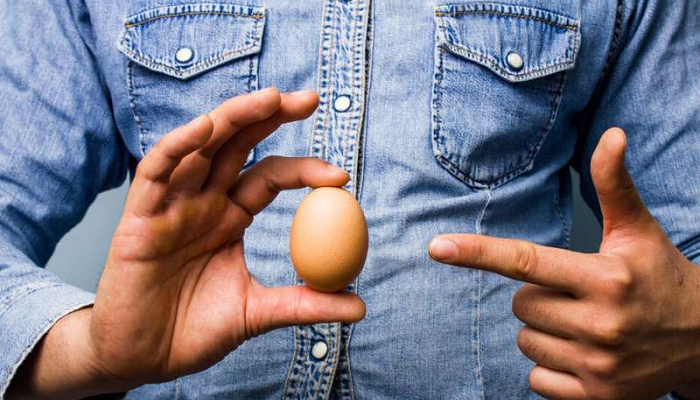 بياض البيض والدهون المنخفضة تزيد خصوبة الرجال - أرشيفية