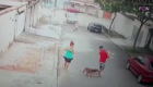 مشهد يحبس الأنفاس.. برازيلي ينقذ طفلا من أنياب كلب