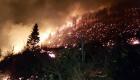 Karadeniz'de 26 noktada yangın: 5 ev yandı, tarım arazileri zarar gördü