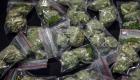 France : Saisie de près de 400 kg de cannabis cachés dans des salades