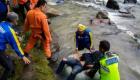 इंडोनेशिया में बस गहरी खाई में गिरी, 28 लोगों की मौत
