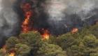 ۶۸ هکتار از جنگل‌های گیلان در آتش سوخت 