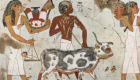 عالم آثار: المصريون القدماء احتفلوا برأس السنة بأكل البط