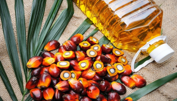 طفرة في أسعار زيت النخيل