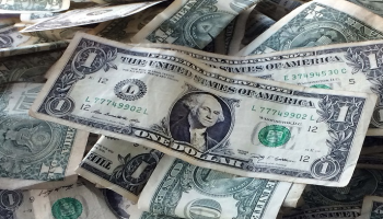 استقرار سعر الدولار في مصر