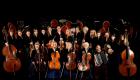 Обсуждается участие «Вивальди-оркестра» в «Русских сезонах»