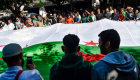 الجزائر في 2019.. عام سقوط نظام بوتفليقة