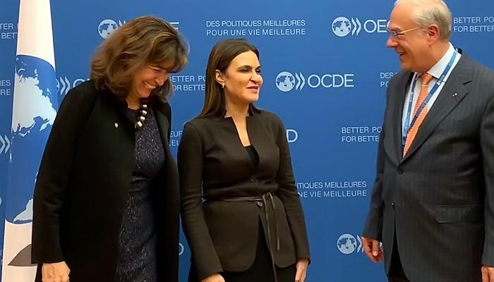 وزيرة الاستثمار المصرية خلال لقائها سكرتير عام منظمة التعاون