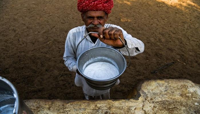 ازدياد الطلب على حليب الإبل يحوّل حياة سكان في الأرياف الهندية