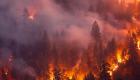 بالصور.. نيوزيلندا تواجه حرائق الغابات بأكبر عملية إطفاء جوي